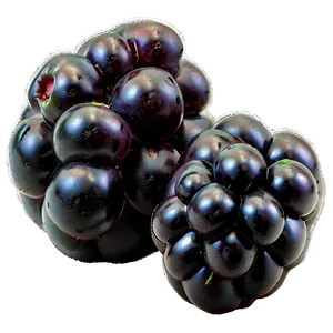 Sour Blackberry Fruit Png 06252024 PNG Image
