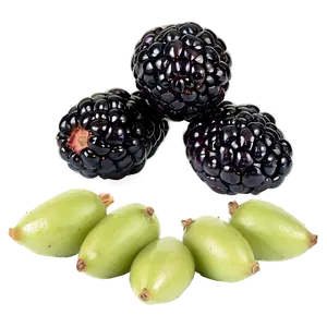 Sour Blackberry Fruit PNG Utb PNG
