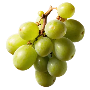 Sour Grape Cluster Png 06252024 PNG Image