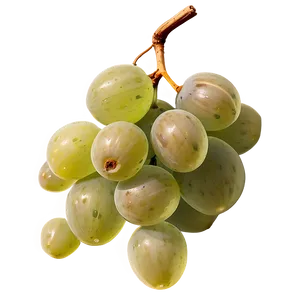 Sour Grape Cluster Png 45 PNG Image