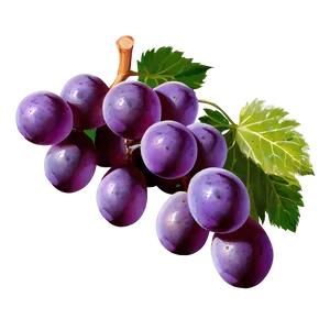 Sour Grape Cluster Png Ccr PNG Image