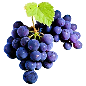 Sour Grape Cluster Png Ddw90 PNG Image