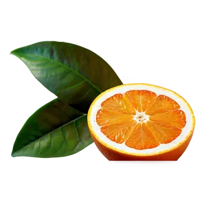 Sour Orange Fruit Png 06252024 PNG Image