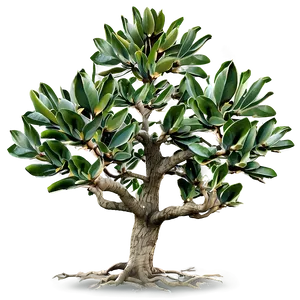 Southern Magnolia Tree Png 85 PNG Image