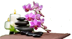 Spa_ Essentials_ Orchids_and_ Stones PNG Image