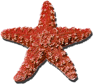 Sparkling Red Starfish PNG Image