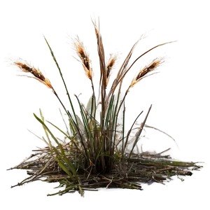 Sparse Dead Grass Png Fvr PNG Image