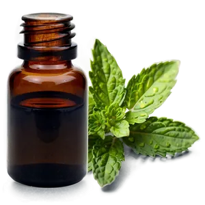 Spearmint Essential Oil Png 21 PNG Image