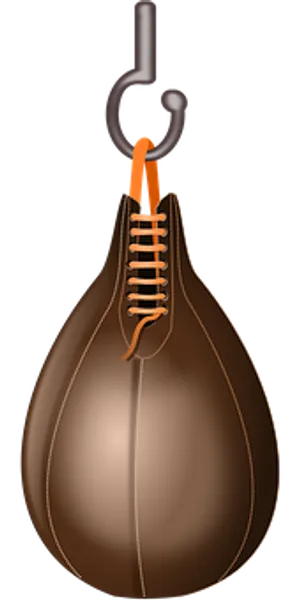 Speed Bag Boxing Equipment PNG Image