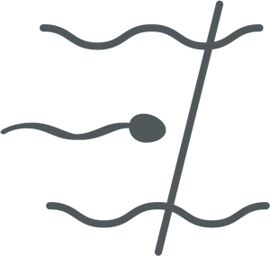 Sperm Cell Icon PNG Image