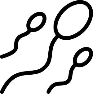 Sperm Cells Silhouette Graphic PNG Image