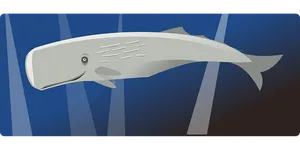 Sperm Whale Illustration PNG Image