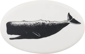 Sperm Whale Silhouette PNG Image