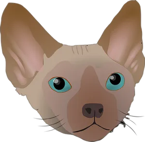 Sphynx Cat Illustration PNG Image