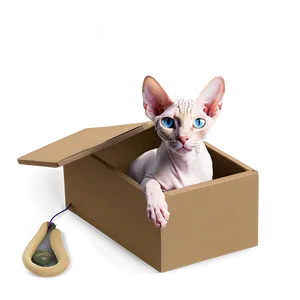 Sphynx Cat In A Box Png Opo PNG Image