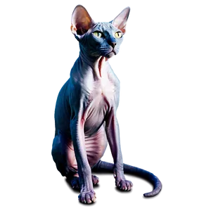 Sphynx Cat Sitting Pose Png 06292024 PNG Image