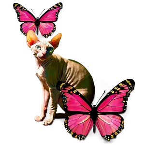 Sphynx Cat With Butterfly Png 06292024 PNG Image