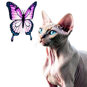 Sphynx Cat With Butterfly Png Arc49 PNG Image