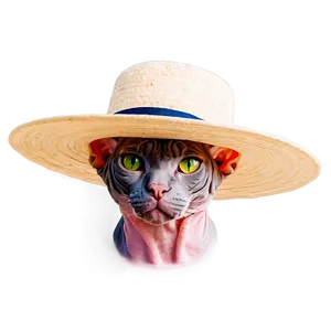 Sphynx Cat With Sun Hat Png 98 PNG Image