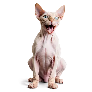 Sphynx Cat Yawning Expression Png 06292024 PNG Image