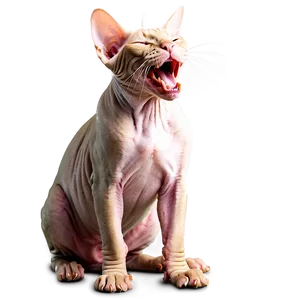 Sphynx Cat Yawning Expression Png 50 PNG Image