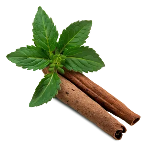 Spice And Herb Png Gwy49 PNG Image