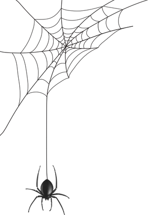 Spider Descending From Web PNG Image