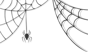 Spider Descending Web PNG Image