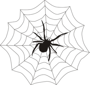 Spider Silhouetteon Web PNG Image