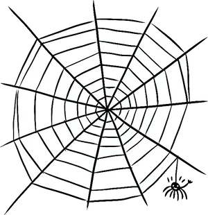 Spider Web Illustration PNG Image