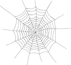 Spider Web Silhouette PNG Image