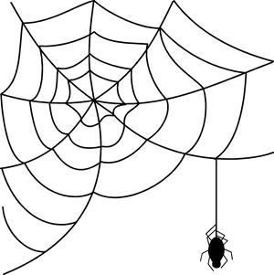 Spider Webwith Spider Drawing PNG Image