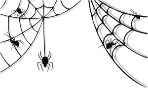 Spiders_on_ Web_ Silhouette PNG Image