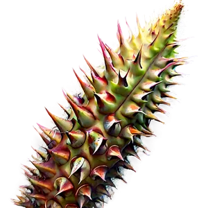 Spikes In Nature Photography Png 70 PNG Image