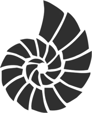 Spiral Shell Graphic Black Background PNG Image