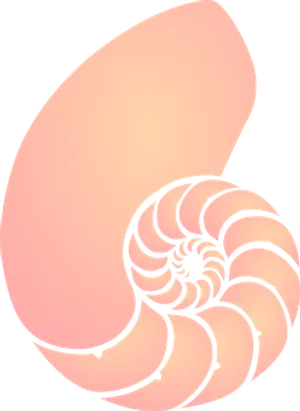 Spiral Shell Illustration PNG Image