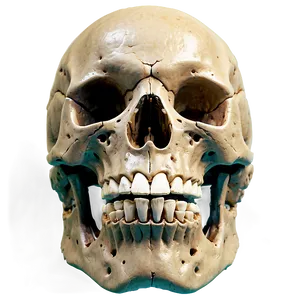 Spooky Skeleton Jaw Png Tks25 PNG Image