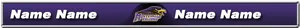 Sports Team Lower Third Graphic PNG Image