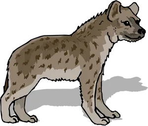 Spotted Hyena Illustration.png PNG Image