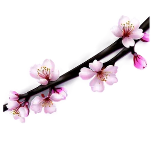 Spring Blossom Png 8 PNG Image