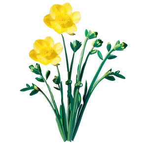 Spring Buttercup Png Sta51 PNG Image