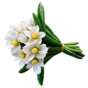 Spring Flowers Bouquet Png 77 PNG Image