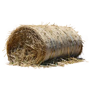 Spring Hay Growth Png 45 PNG Image