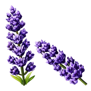 Spring Lavender Flower Png 06272024 PNG Image