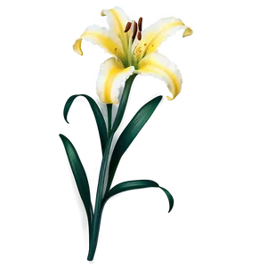 Spring Lily Flower Png Qti PNG Image