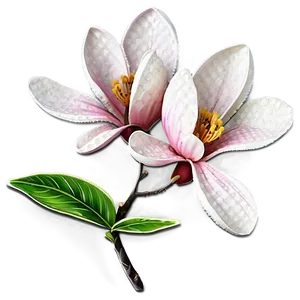 Spring Magnolia Flower Art Png 9 PNG Image