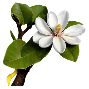 Spring Magnolia Flower Art Png Eht65 PNG Image