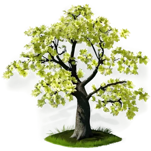 Spring Maple Tree Blossom Png Eye PNG Image