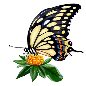 Springtime Butterfly PNG 30 PNG