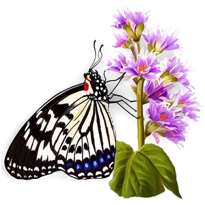 Springtime Butterfly PNG Bvu12 PNG